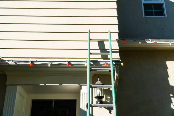 Best Siding Removal and Disposal  in Chieand, FL