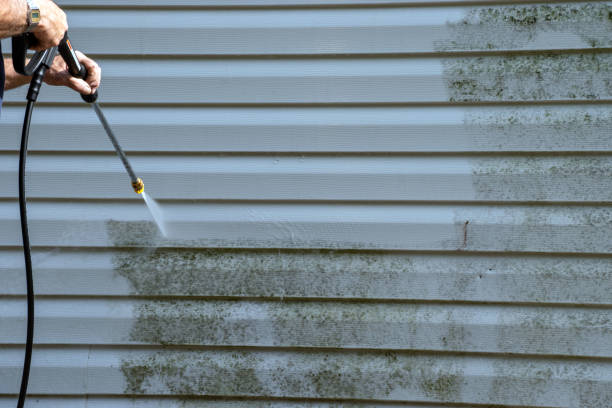 Best Storm Damage Siding Repair  in Chieand, FL