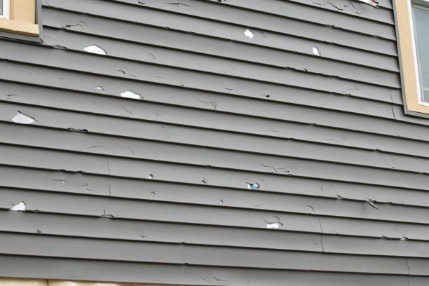 Chiefland, FL Siding Installation & Repair Company