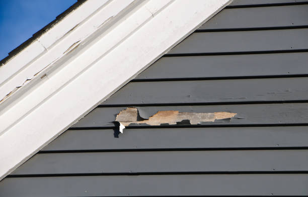 Best Siding Painting and Refinishing  in Chieand, FL